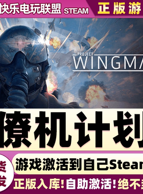 Steam正版僚机计划 激活码CDKey入库 Project Wingman  全DLC游戏