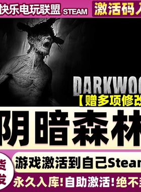 Steam正版阴暗森林 激活码CDKey入库 Darkwood 全DLC生存恐怖游戏