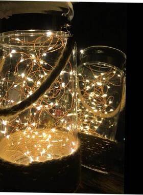 BITFLY 2M 20 Leds Christmas Lights String LED Copper Wire Fa