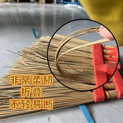 短葵扫坚韧扫把清洁落叶