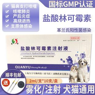 宠物盐酸林可霉素注射液狗狗猫咪雾化咳喘发烧猫鼻支产后炎症消炎