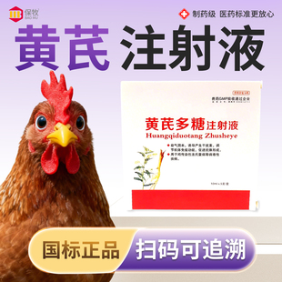 黄芪注射液鸡猫咪狗狗兽用细小病毒抗病毒注射液增加免疫力的针剂