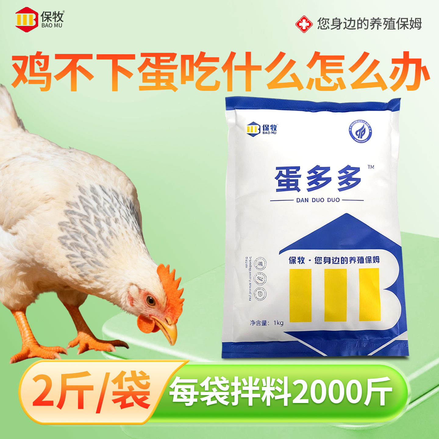 鸡不下蛋吃什么怎么办蛋多多催蛋产蛋专用软壳蛋增蛋宝生蛋鸡饲料