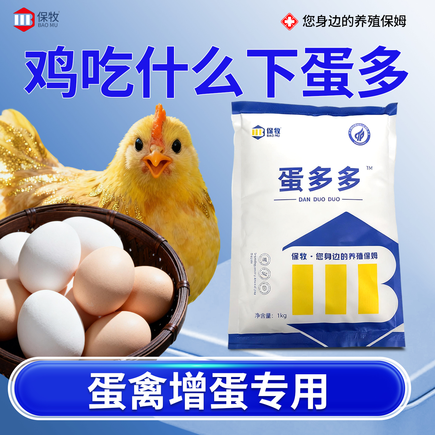 鸡吃什么下蛋多催鸡下蛋鸭鹅禽用蛋多多产蛋王改善软壳蛋质添加剂
