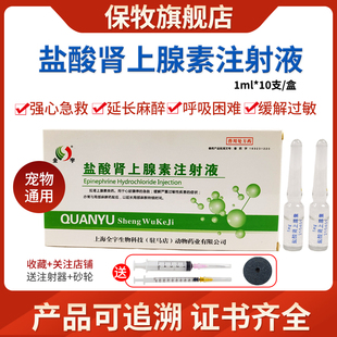肾上腺素注射剂兽用牛马羊用猫咪狗狗延长麻醉缓解过敏急救强心针