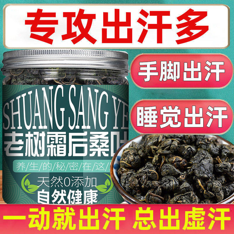 桑叶茶精选新鲜霜后正宗炒制