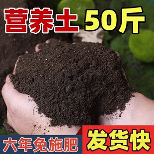 营养土养花种菜土专用通用型种花土壤种菜泥土家用种植土高品质土