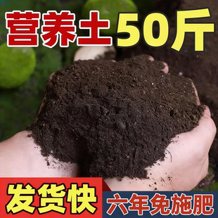 营养土养花种菜土专用通用型种花土壤种菜泥土家用种植土高品质土