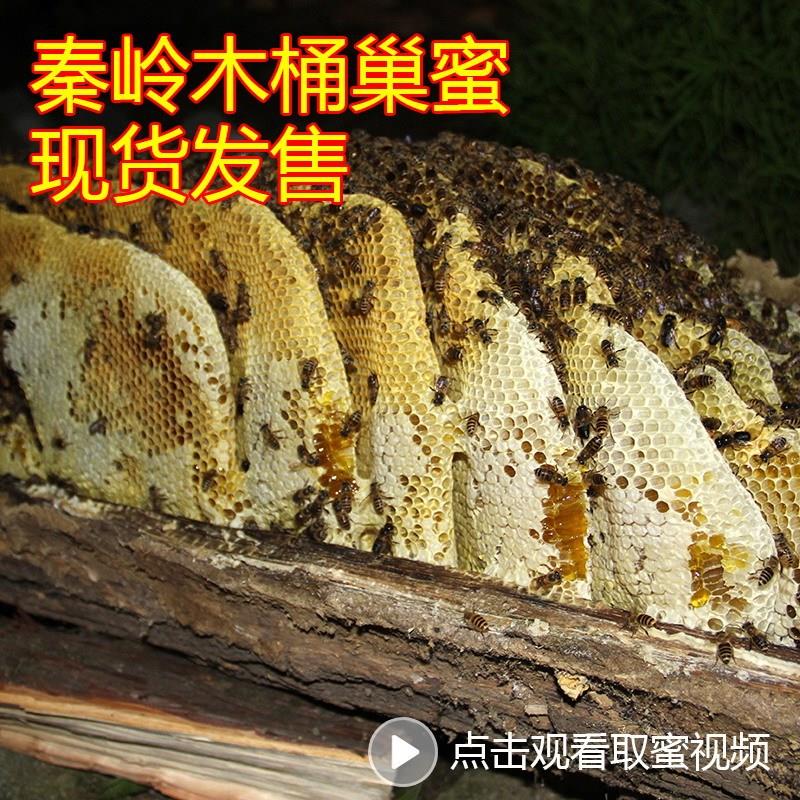 秦岭木桶土蜂蜜 老蜂巢蜜 野生百花蜜 嚼着吃 500g包邮