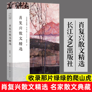 肖复兴散文精选 名家散文典藏彩插版 收录那片绿绿的爬山虎手绘插图现当代文学散文精选集名家作品长江文艺出版社