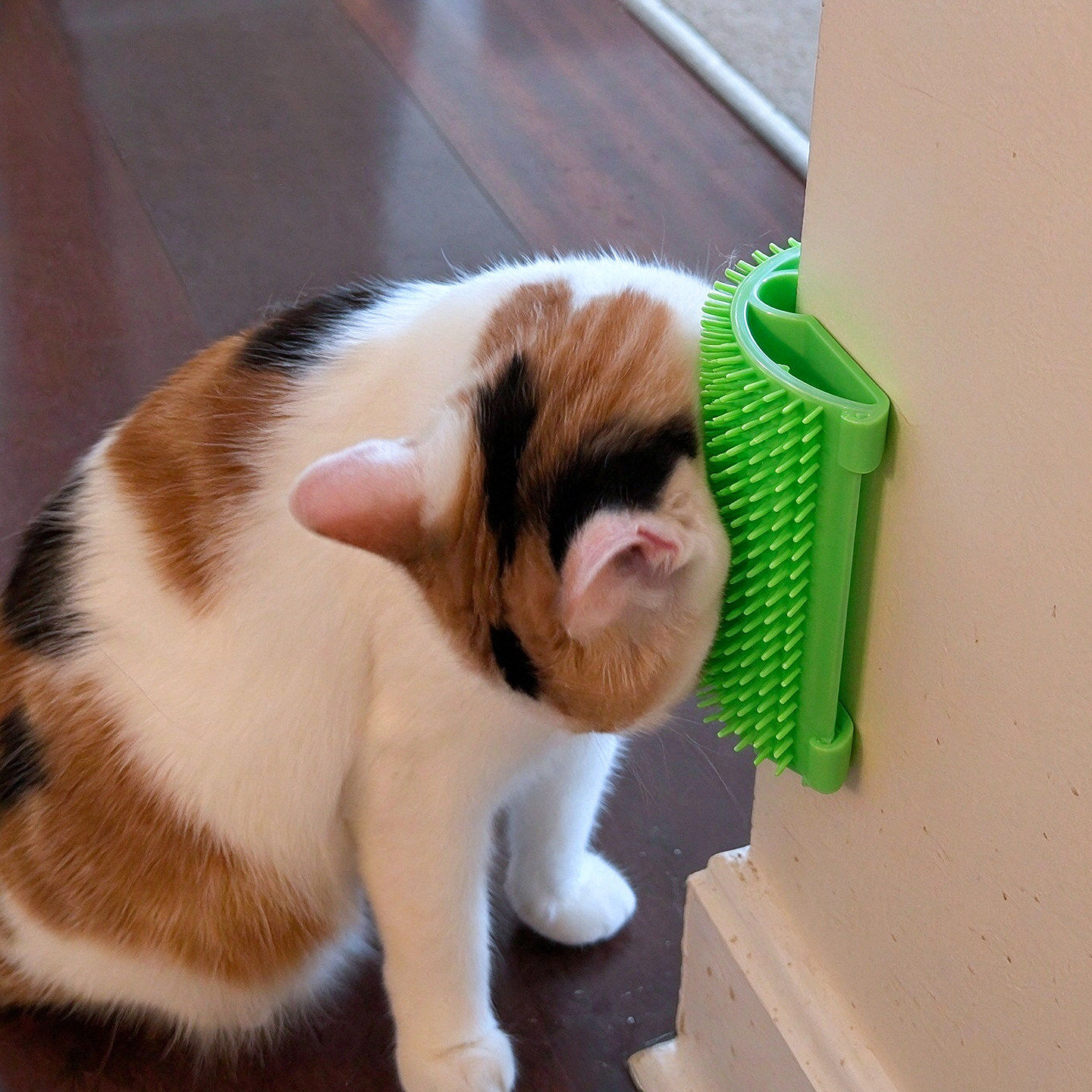 猫咪蹭痒器贴墙挠角面部按