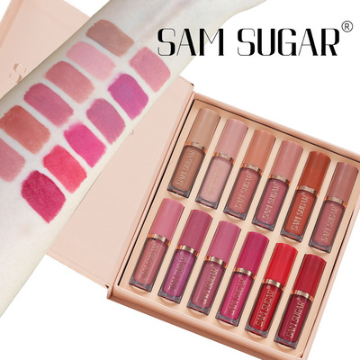 SAMSUGAR 12 color book lipstick set matte pearl non stick c