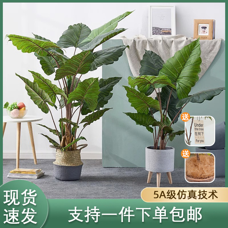 Nordic style simulation plant rainbow taro artificial rainb