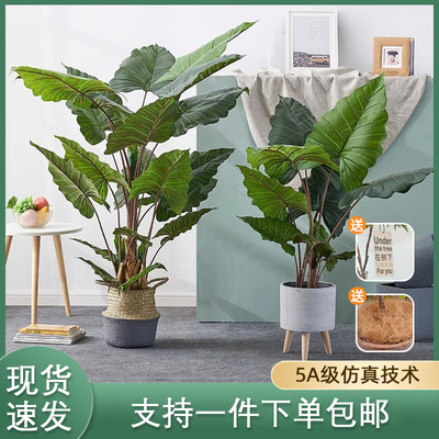 Nordic style simulation plant rainbow taro artificial rainb