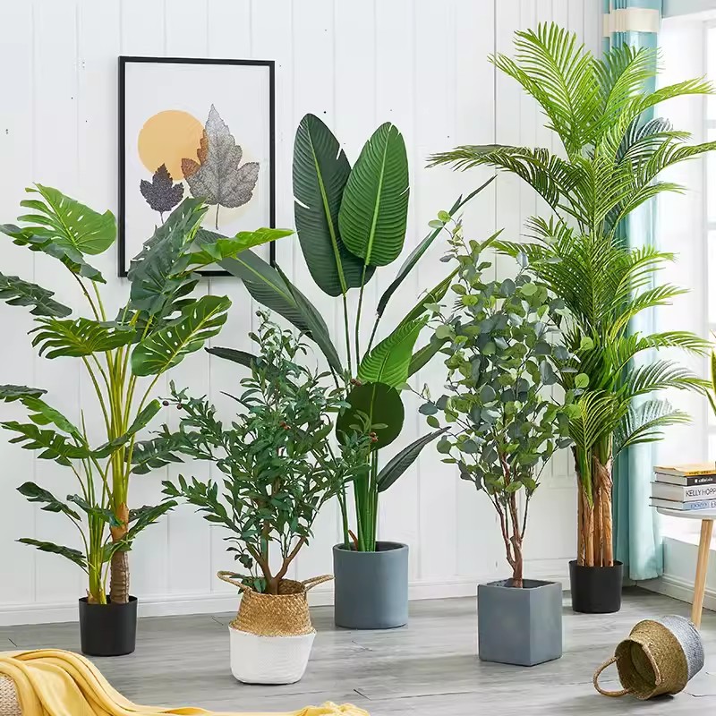 Large scale Nordic simulation plants, travelers, bananas, i