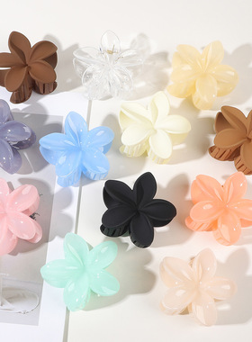 Flower Catching Clip, Back of Head Disc Hair Clip, Shark Ca