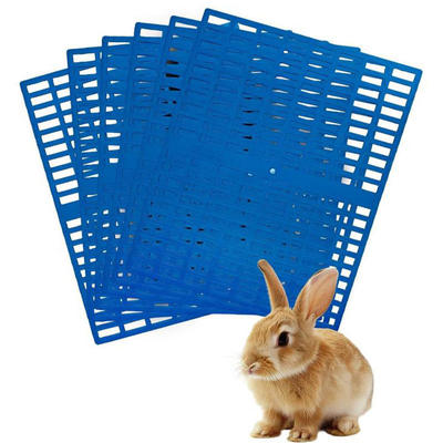 Plasticrabbitpaddogcagep