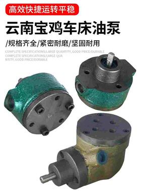 云南CY6140车床油泵 宝鸡CS6150机床油泵CY6250B主轴油泵CS6140泵