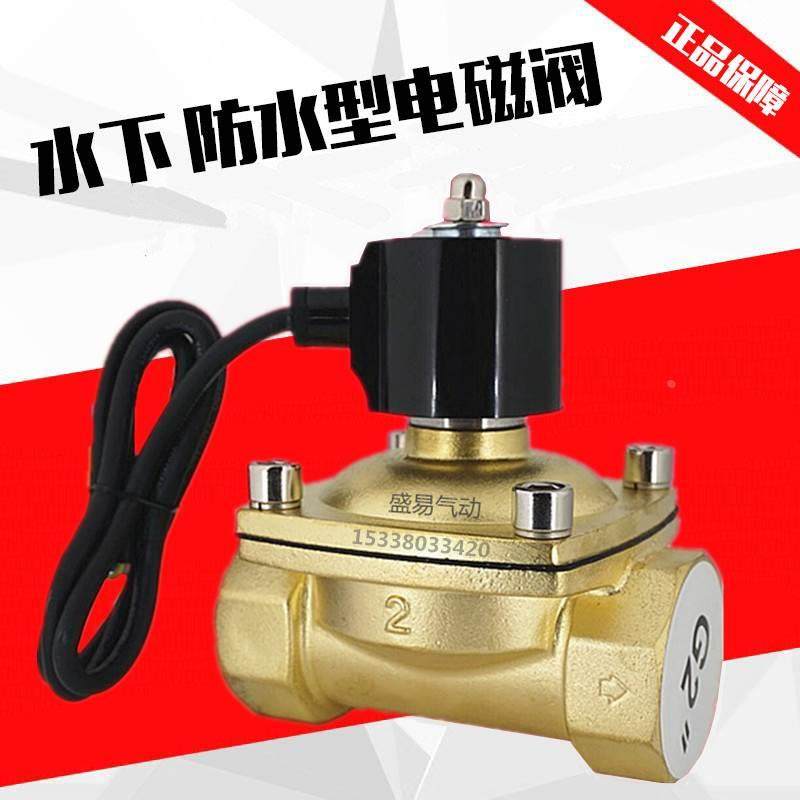 水下喷泉跳泉 2寸防水电磁阀水阀开关阀 DN50 气阀 AC220V DC24V
