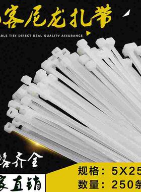 凡客正品国标塑料拉紧器自锁式尼龙扎带5*250 250条/包宽4.6mm