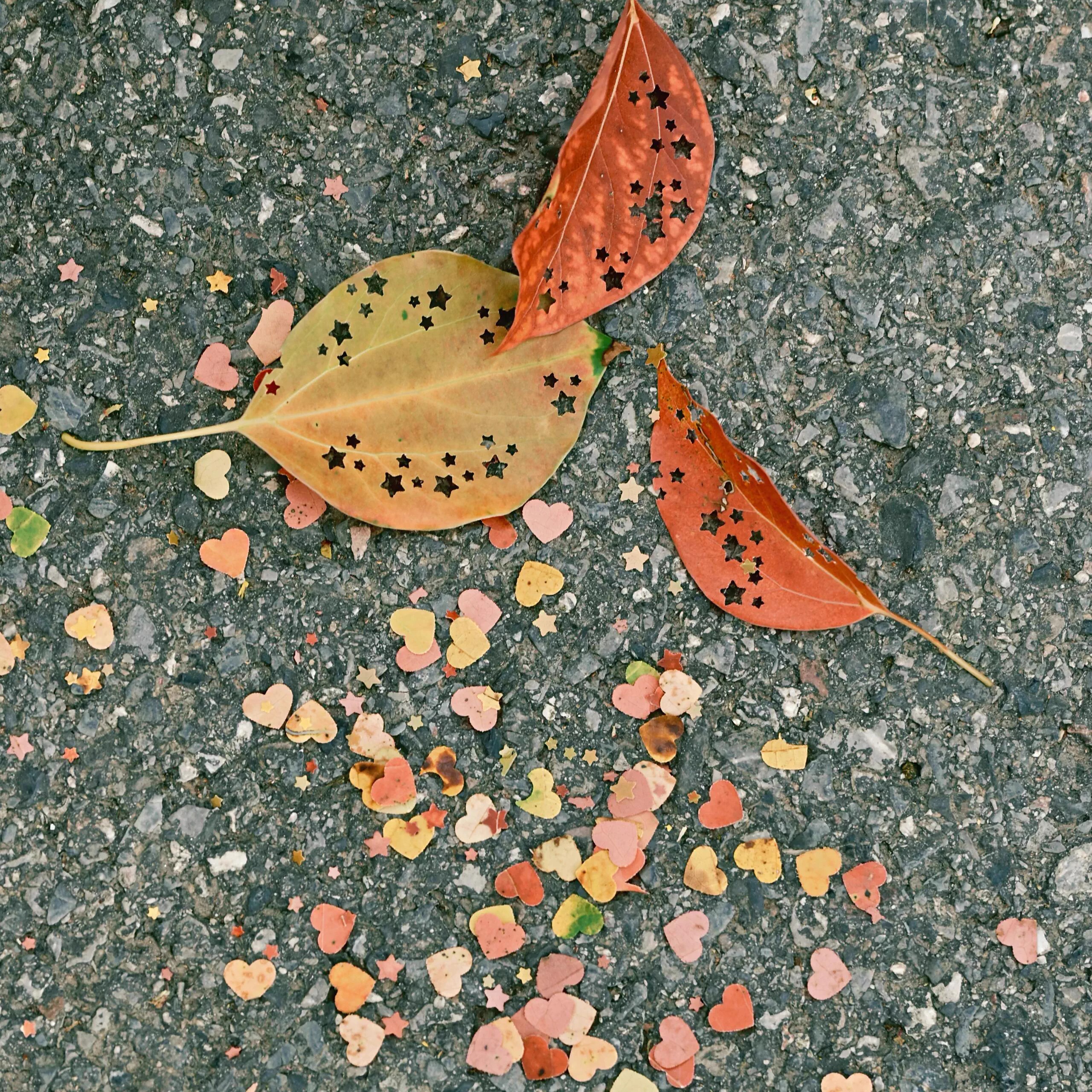 树叶压花器手工diy手捏礼花炮