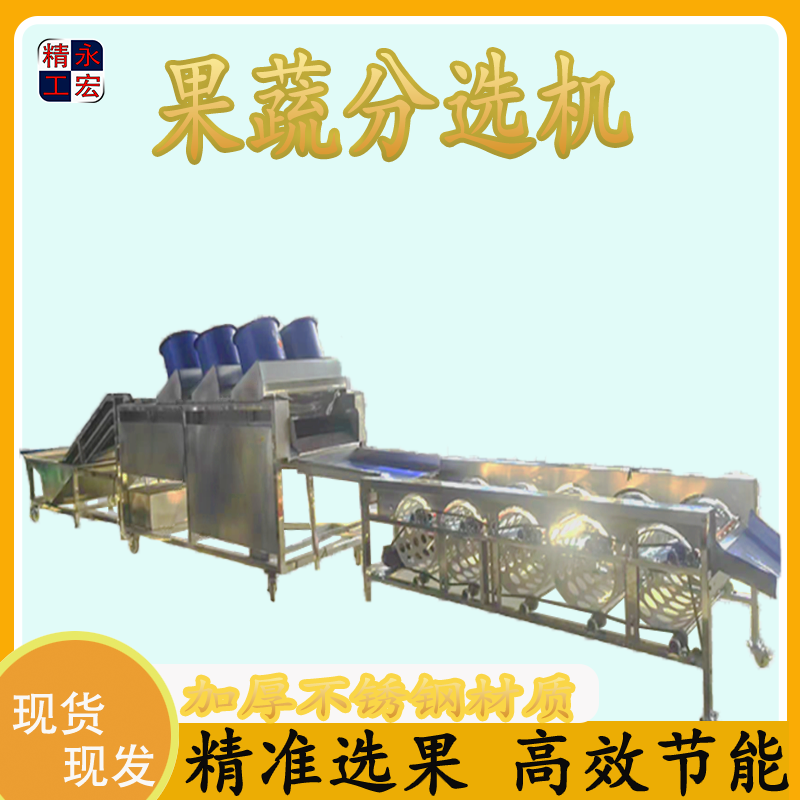 果蔬分拣机浸泡清洗选果