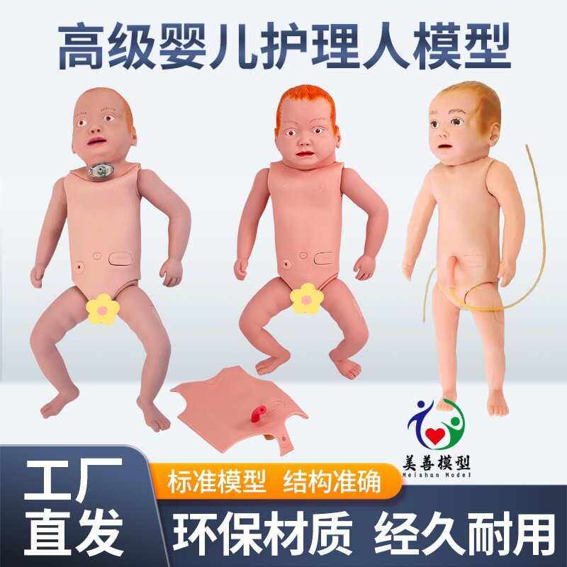 美善模型高级婴儿护理人教学