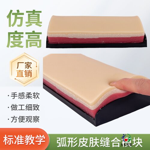 美善模型皮肤外科切开缝合练习