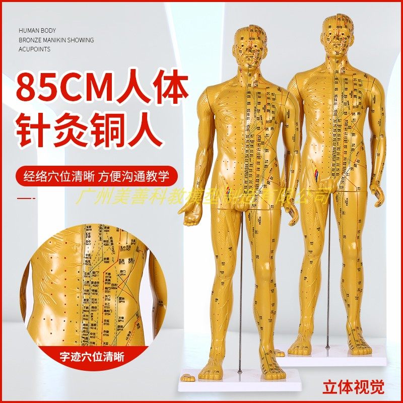 85cm超清晰经络通针灸铜人体穴位模型中医针灸人体模型十二经络图