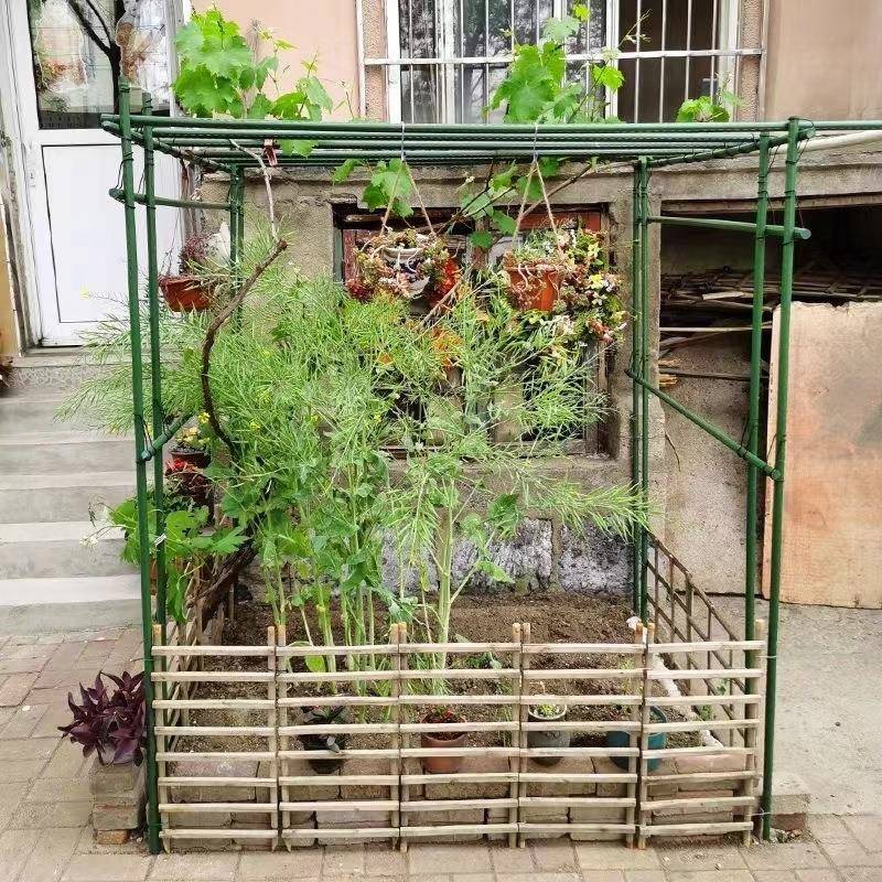 架花藤黄爬瓜架葡萄架管爬架花盆支柱包塑钢管厂家直供种菜架子包