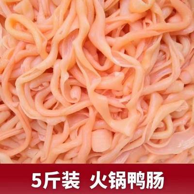 新鲜水发鸭肠生冷冻脆鸭肠免洗商用生鸭肠小串麻辣烫冒菜火锅食材