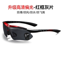 Красная рама [HD Polares] Anti -Glare