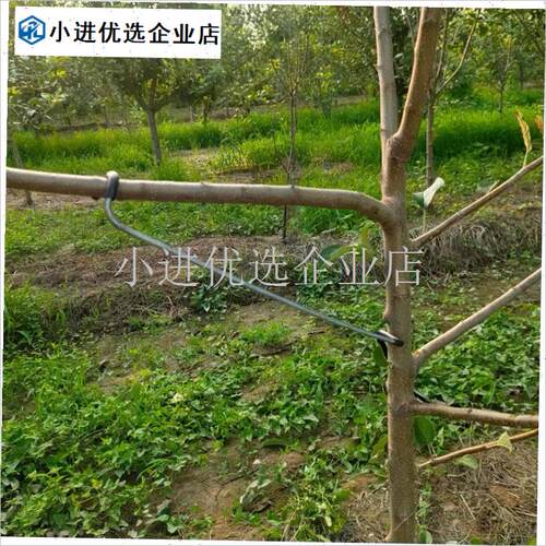 拉枝定型器e盆景造型工具拿弯器矫正树枝条固定弯枝苗木果树压枝\