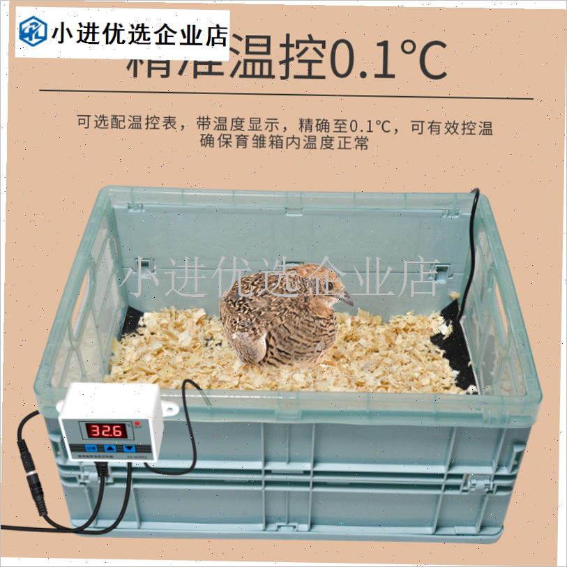 鹦鹉保温箱雏鸟恒l温箱牡丹幼鸟小鸡手养孵化育雏专用加热垫饲养/