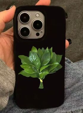 爆子叶oPmax手壳苹果15趣14冻款柚适用iPhne16ro机味网红13果12软