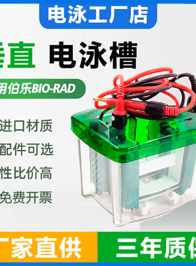 通用Bio-Rad/伯乐Mini小型垂直电泳槽 蛋白槽制胶架电极芯1658001