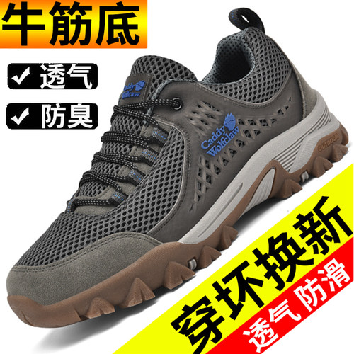 卡迪狼爪夏季新款品牌牛