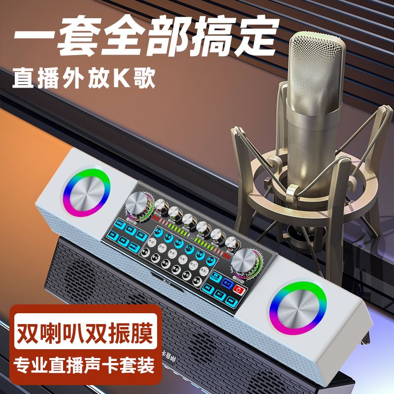 EARISE/雅兰仕SY6专业可直播唱歌室内户外KTV声卡音响一体机套装