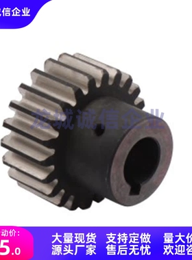 齿轮VNG01/11/21-3.0-20/24/25/32/36/40-B30-A/B-P32N-HC90/120