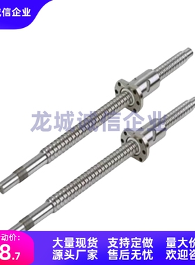 MSSR4丝杠MSSRN6/8/10/12-01/02/09/18/15/24/36-30/40~150/550