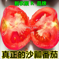 普罗旺斯番茄水果西红柿农家自然熟沙瓤生吃新鲜蔬菜