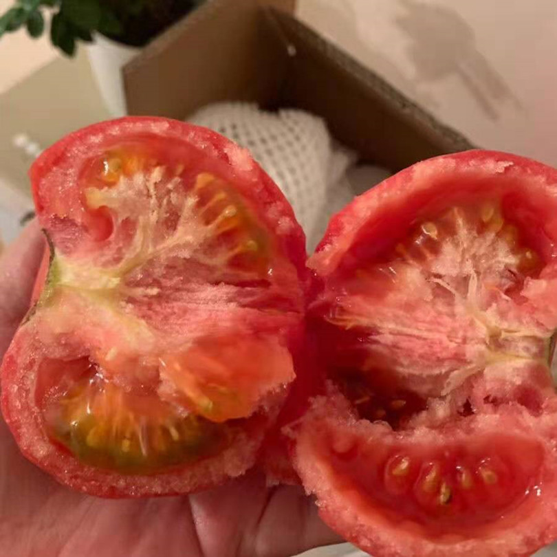 现摘现发 保证新鲜 沙瓤多汁