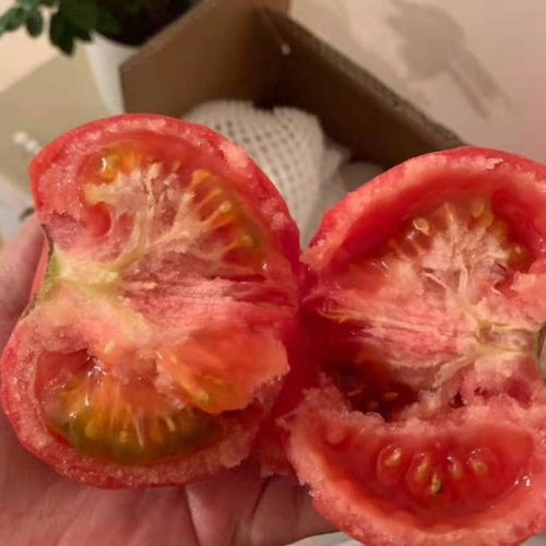 现摘现发 保证新鲜 沙瓤多汁
