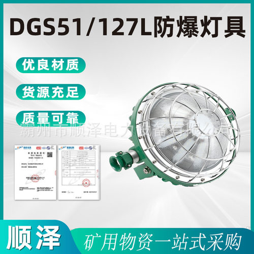 DGS51/127L防爆灯具LED泛光灯固定工业厂区投光灯石油化工应急灯