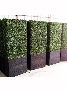 仿真米兰草墙米兰篱笆墙立体绿植墙植物绿雕墙室内外屏风装饰围栏