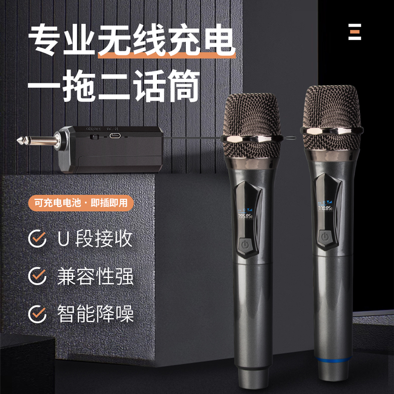 得普声 无线一拖二话筒麦克风KTV家用唱歌调频电脑充电防啸叫W6