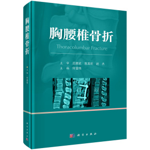 何登伟 胸腰椎骨折 科学出版 社 书籍 正版 现货正版