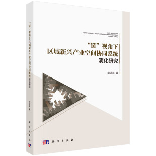 李进兵 视角下区域新兴产业空间协同系统演化研究 链