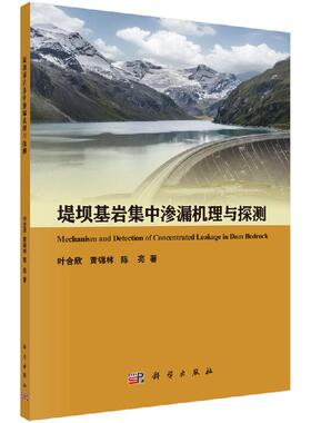 堤坝基岩集中渗漏机理与探测/叶合欣 黄锦林 陈亮
