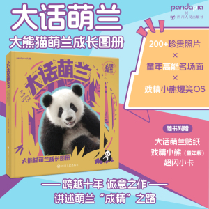 pandi熊猫文创大话萌兰画